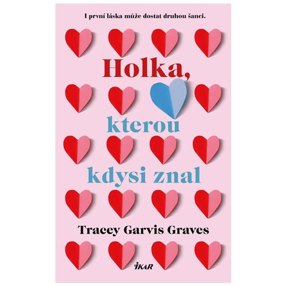 Kniha Holka, kterou kdysi znal, Tracey Garvis Graves