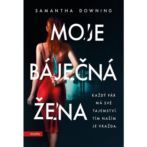 Kniha Moje báječná žena, Samantha Downing