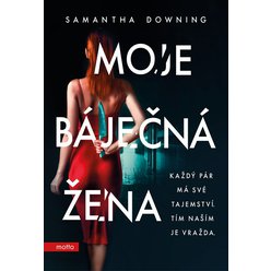 Kniha Moje báječná žena, Samantha Downing