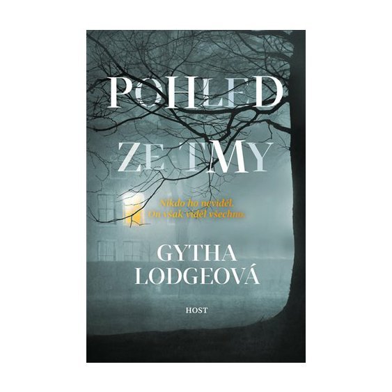 Kniha Pohled ze tmy, Gytha Lodgeová