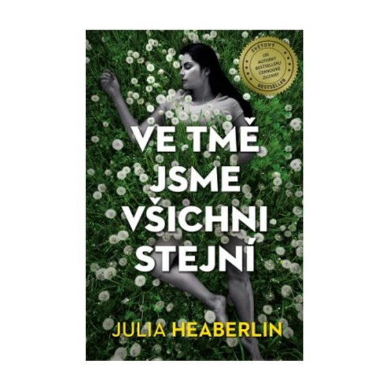 Kniha Ve tmě jsme všichni stejní, Julia Heaberlin