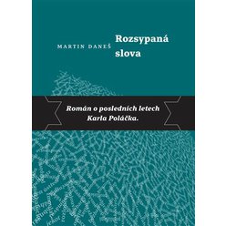 Kniha Rozsypaná slova, Martin Daneš
