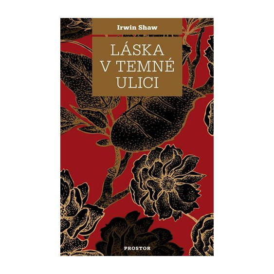 Kniha Láska v temné ulici, Irwin Shaw