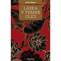 Kniha Láska v temné ulici, Irwin Shaw