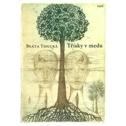 Kniha Třísky v medu, Beáta Tisucká