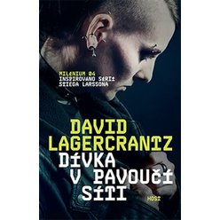 Dívka v pavoučí síti, David Lagercrantz