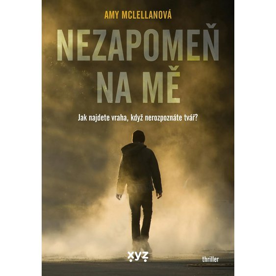 Kniha Nezapomeň na mě, Amy McLellan