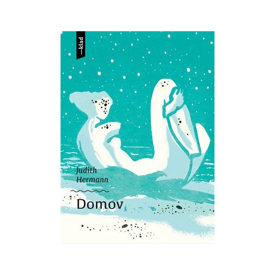 Kniha Domov, Judith Hermannová