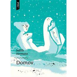 Kniha Domov, Judith Hermannová