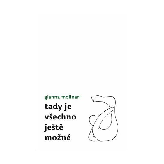 Kniha Tady je všechno ještě možné, Gianna Molinari