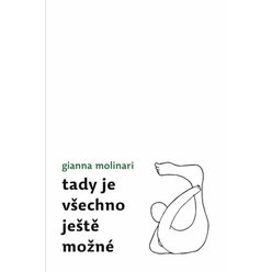Kniha Tady je všechno ještě možné, Gianna Molinari