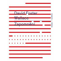 Kniha Zapomnění, David Foster Wallace
